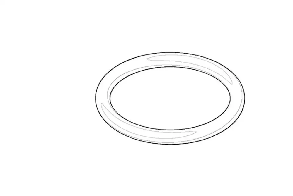 DORNBRACHT O-Ring ERSATZTEILE 091410197 21,89 x 2,62 mm, 09141019790 Galeriebild 1